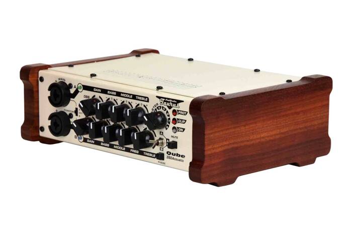 Taurus Acoustic Qube-350 Bass Amplifier 350W
