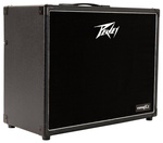 Peavey VYPYR X2 40W guitar combo