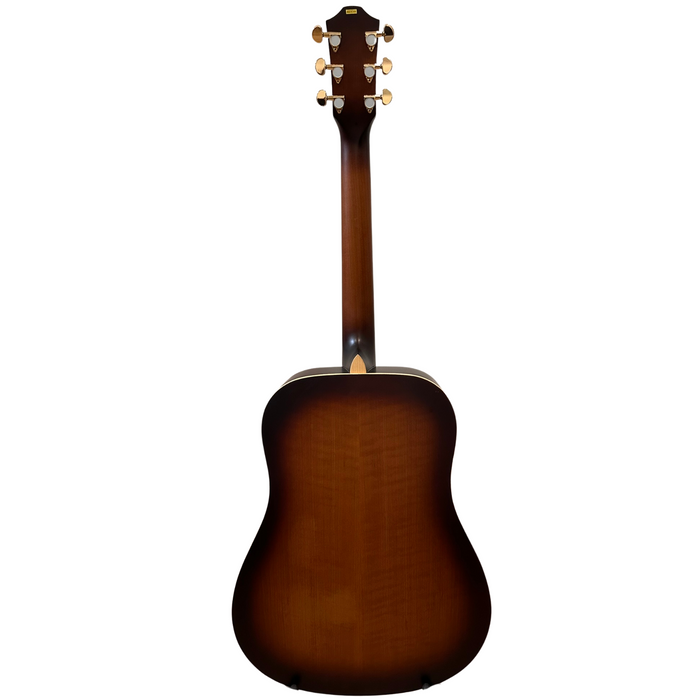 Dreadnought birch acoustic guitar Elixir Strings Baton Rouge TLA/D custom 3789