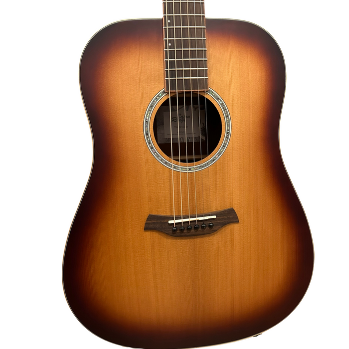 Baton Rouge TLA/D custom 3792 acoustic guitar