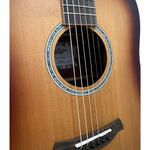 Baton Rouge TLA/D custom 3792 acoustic guitar