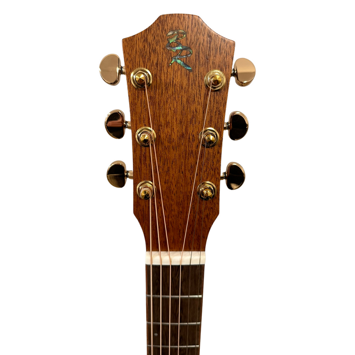 Dreadnought birch acoustic guitar Elixir Strings Baton Rouge TLA/D custom 3789