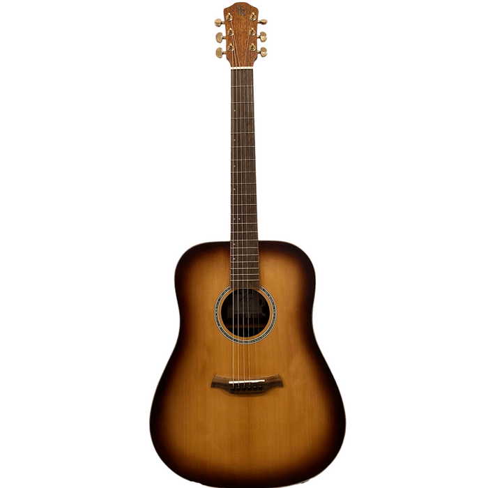 Dreadnought Birke Akustikgitarre Elixir Strings Baton Rouge TLA/D Custom 3789