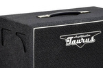 Gitarren-Lautsprecherbox THC-12V 60Watt 1x12"