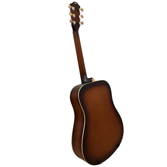 Baton Rouge TLA/D custom 3793 acoustic guitar