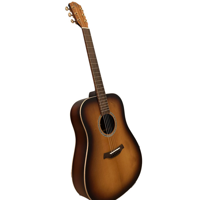 Baton Rouge TLA/D custom 3793 acoustic guitar