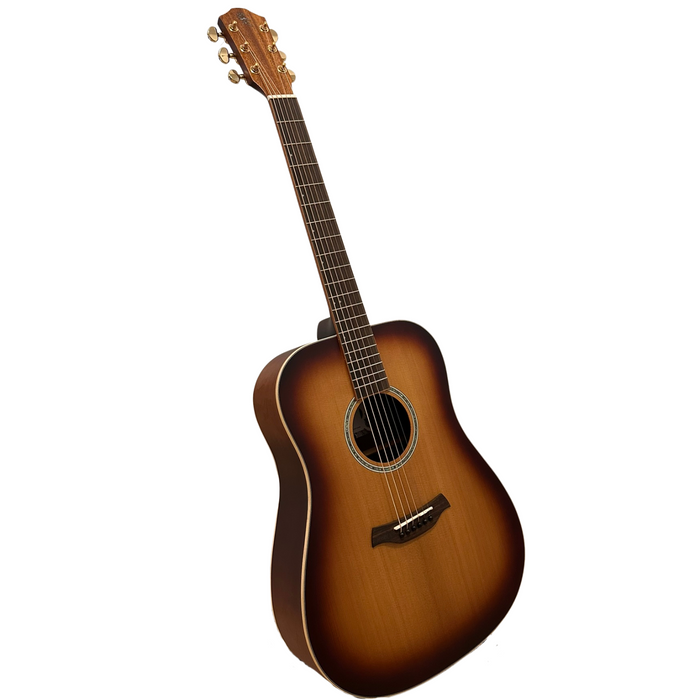 Baton Rouge TLA/D custom 3792 acoustic guitar